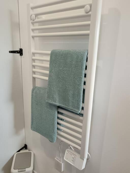 Chalet Cosy Avec Option Jacuzzi Saint-Genes-de-Fronsac 외부 사진